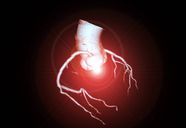 Congenital heart defects 3D rendering is a diagnostic imaging technique capturing detailed visuals of the heart's blood vessels in diagnosing Congenital heart defects and assessing cardiac health.