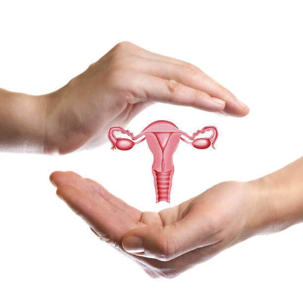 A women showing overy system betweeh her hands with white background