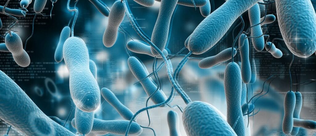 These indicators indicate momentous dehydration and entail emergency measures to restore the  water-salt of body  homeostasis